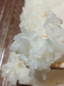 ごはん